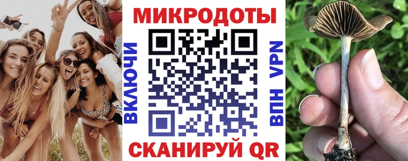 MEGA ссылки  Верещагино  Псилоцибиновые грибы Psilocybe 